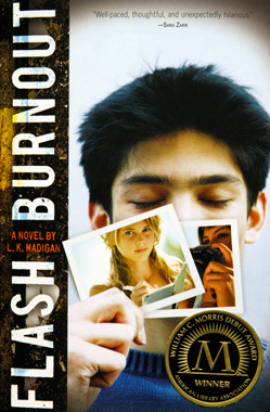 Flash Burnout Book Cover